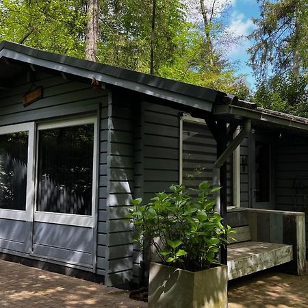 Dreamwoodz - Een Droomchalet Op De Veluwe Laag-Soeren Exterior foto