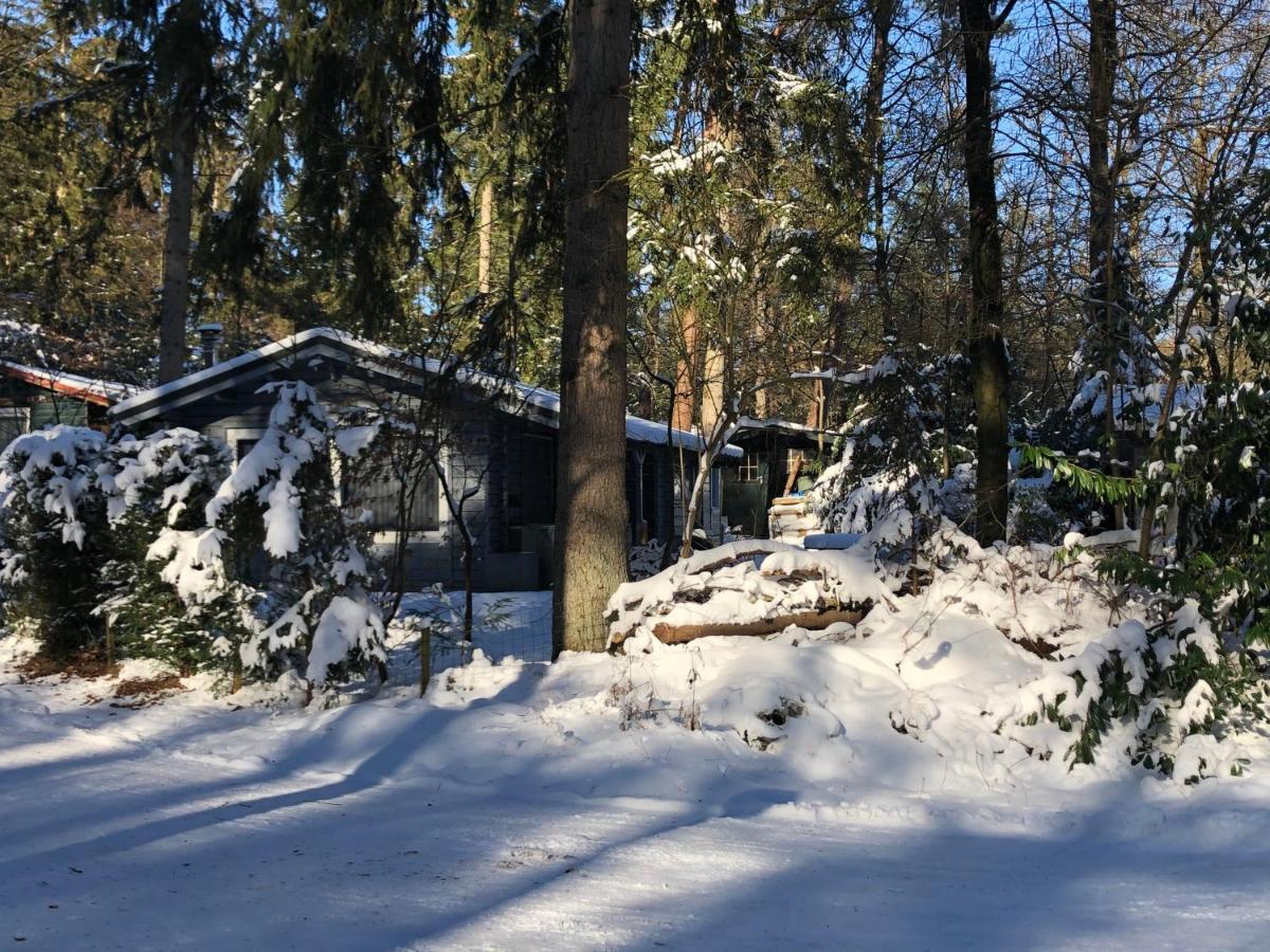 Dreamwoodz - Een Droomchalet Op De Veluwe Laag-Soeren Exterior foto