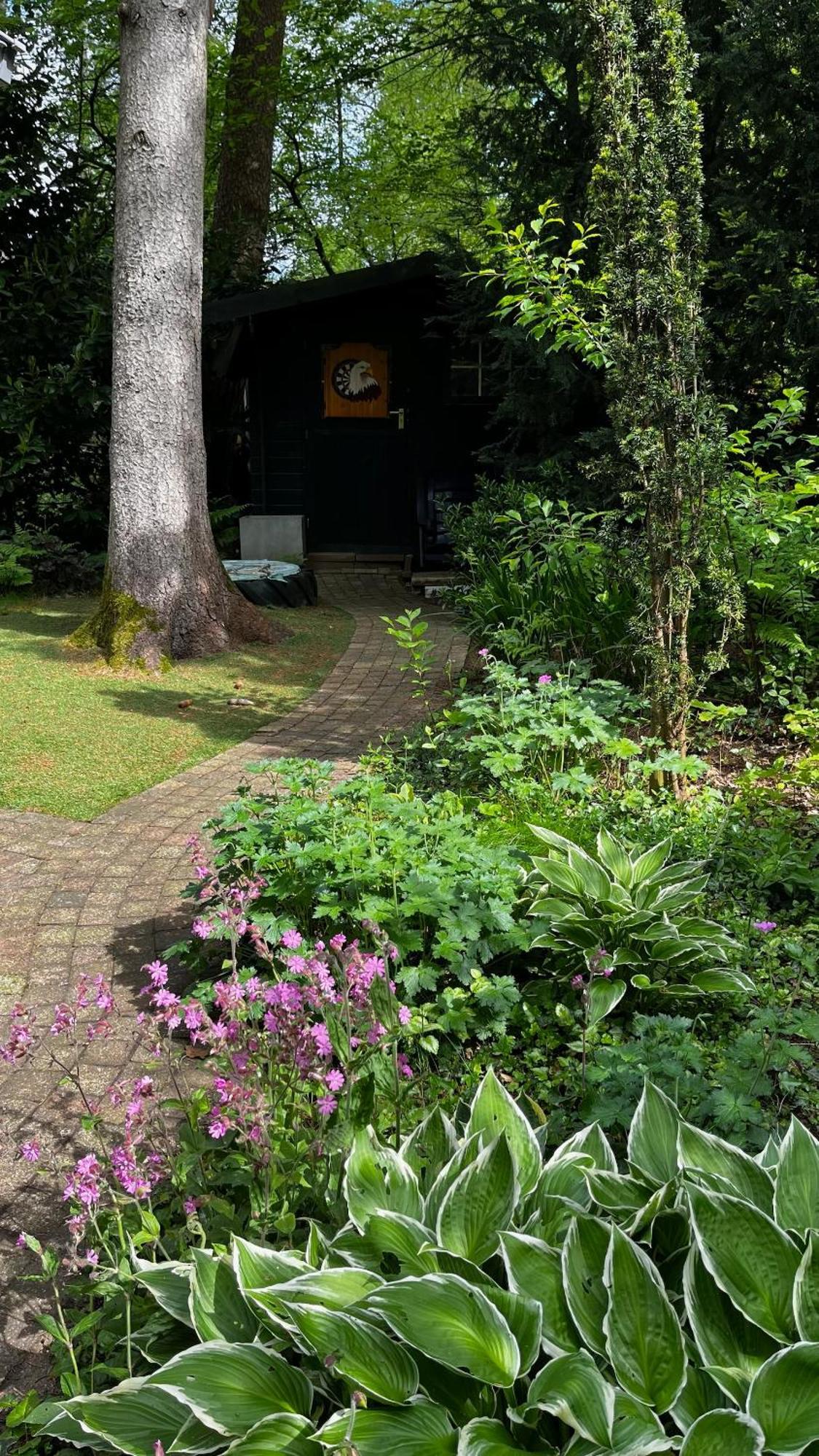 Dreamwoodz - Een Droomchalet Op De Veluwe Laag-Soeren Exterior foto